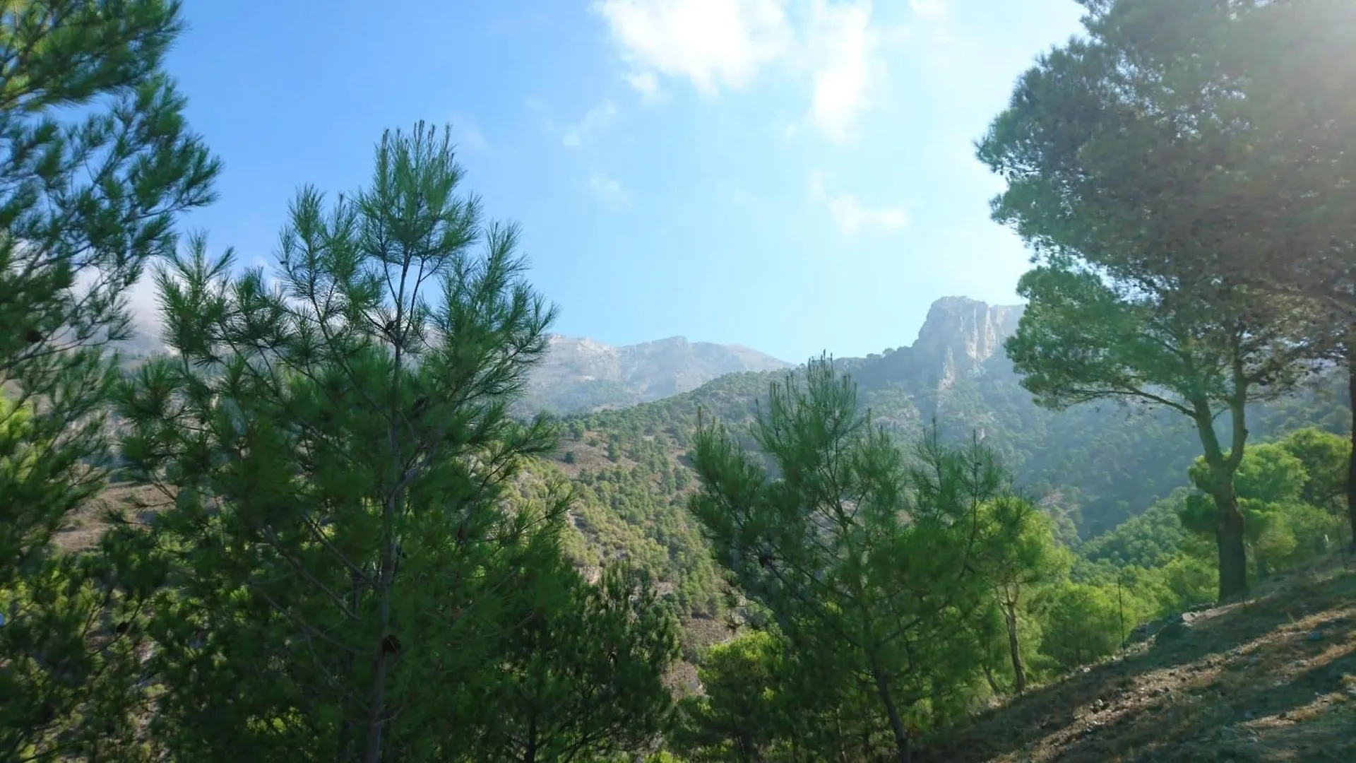 Villa Casa Alta - Exclusive Large Luxury Private Villa, Large Pool, Amazing Views, On The Edge Of The Village And Next To Natural Park Canillas de Aceituno Spagna